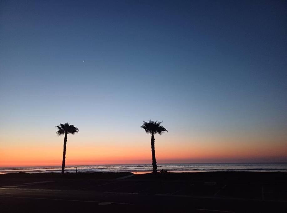Sunshine Haven