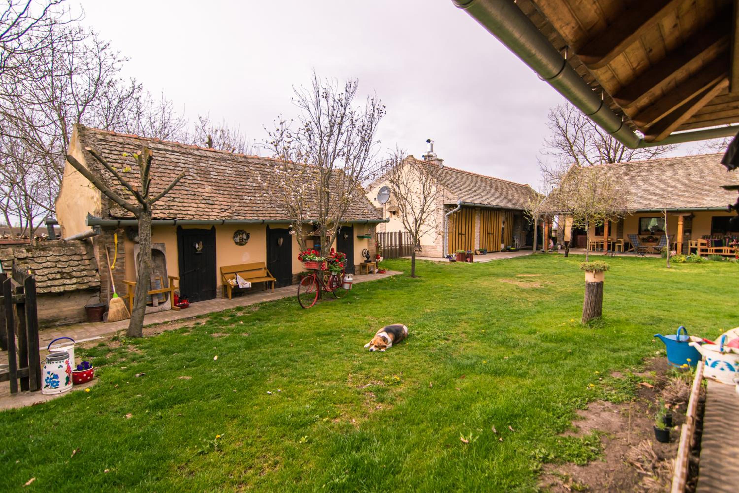 Photo 11