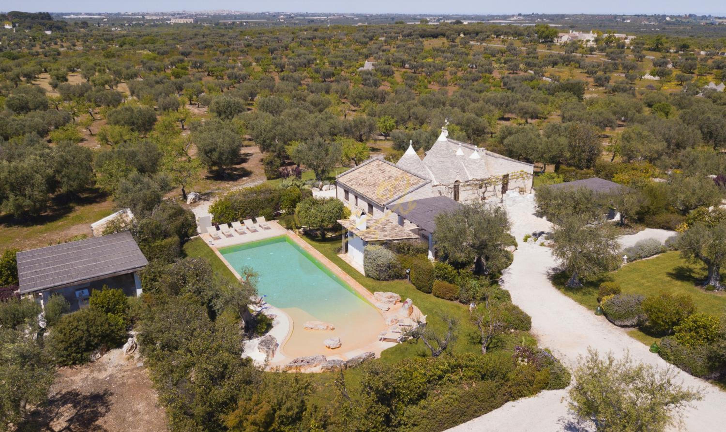 TD Trulli di Montaltino with Stunning Huge Pool view 3
