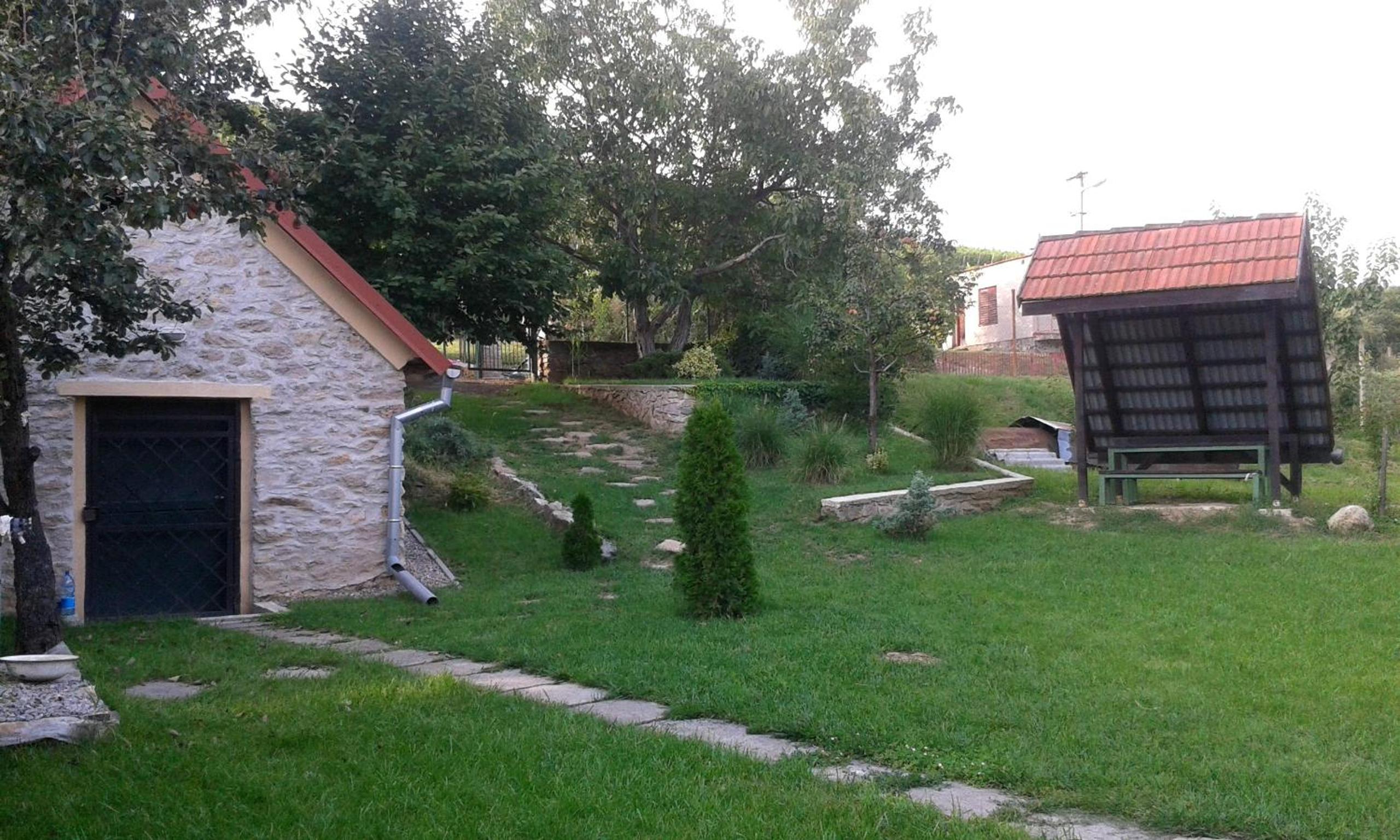 Photo 16