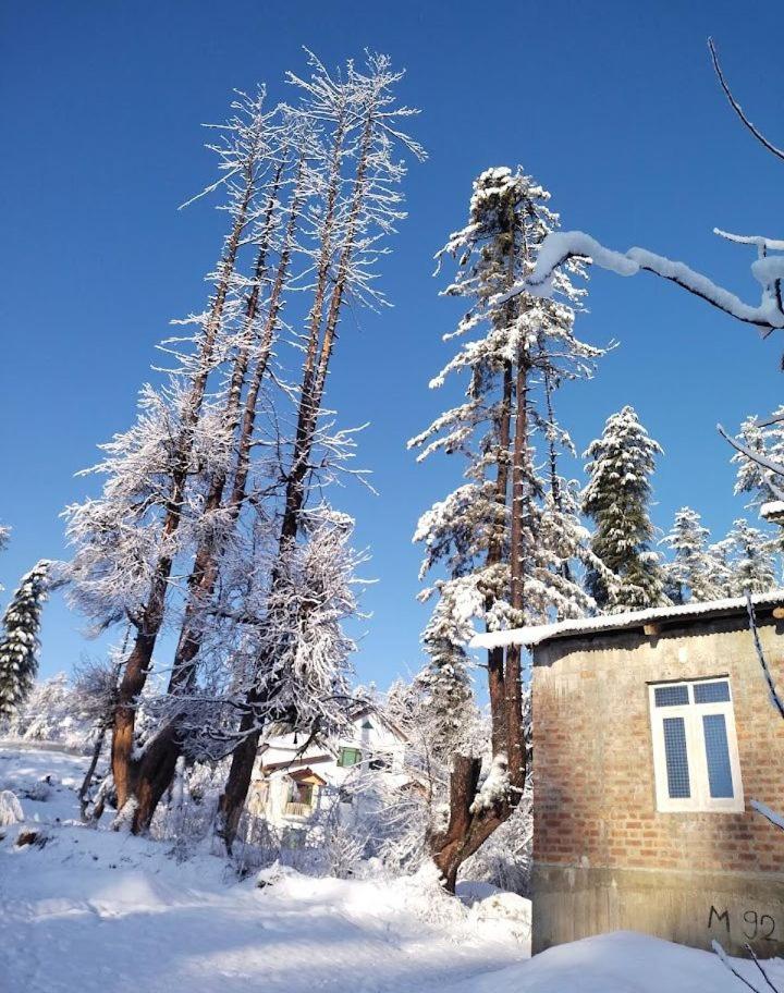 Woodland Cottage Tangmarg,Gulmarg view 2