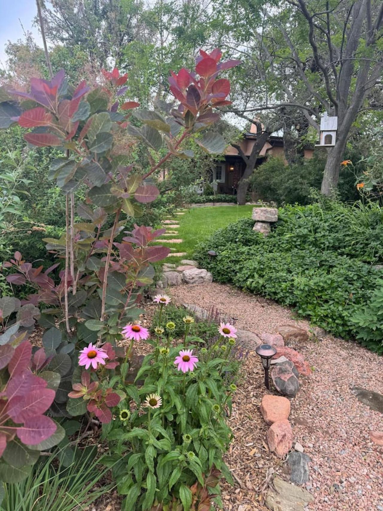 Photo 41