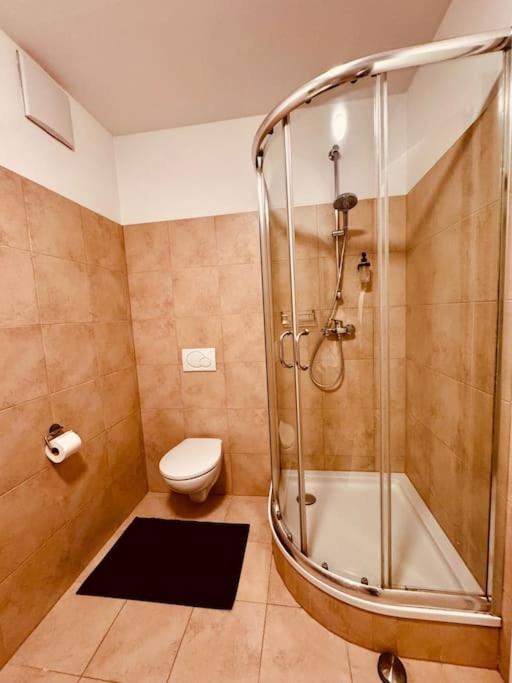 Ferienappartement am Traunsee Gmunden Altmünster