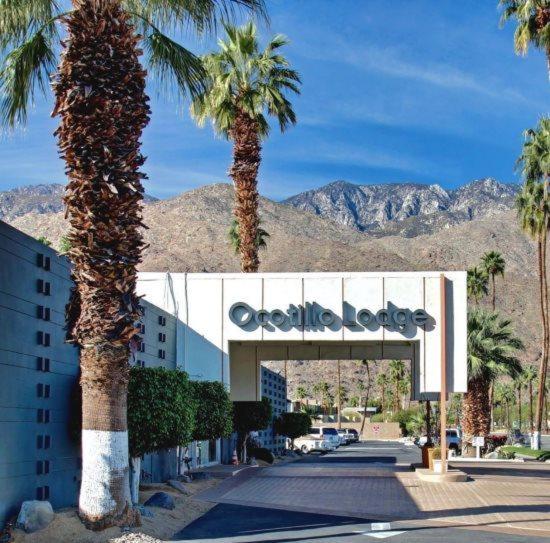 Mid-Century Pad - Ocotillo Lodge view 4