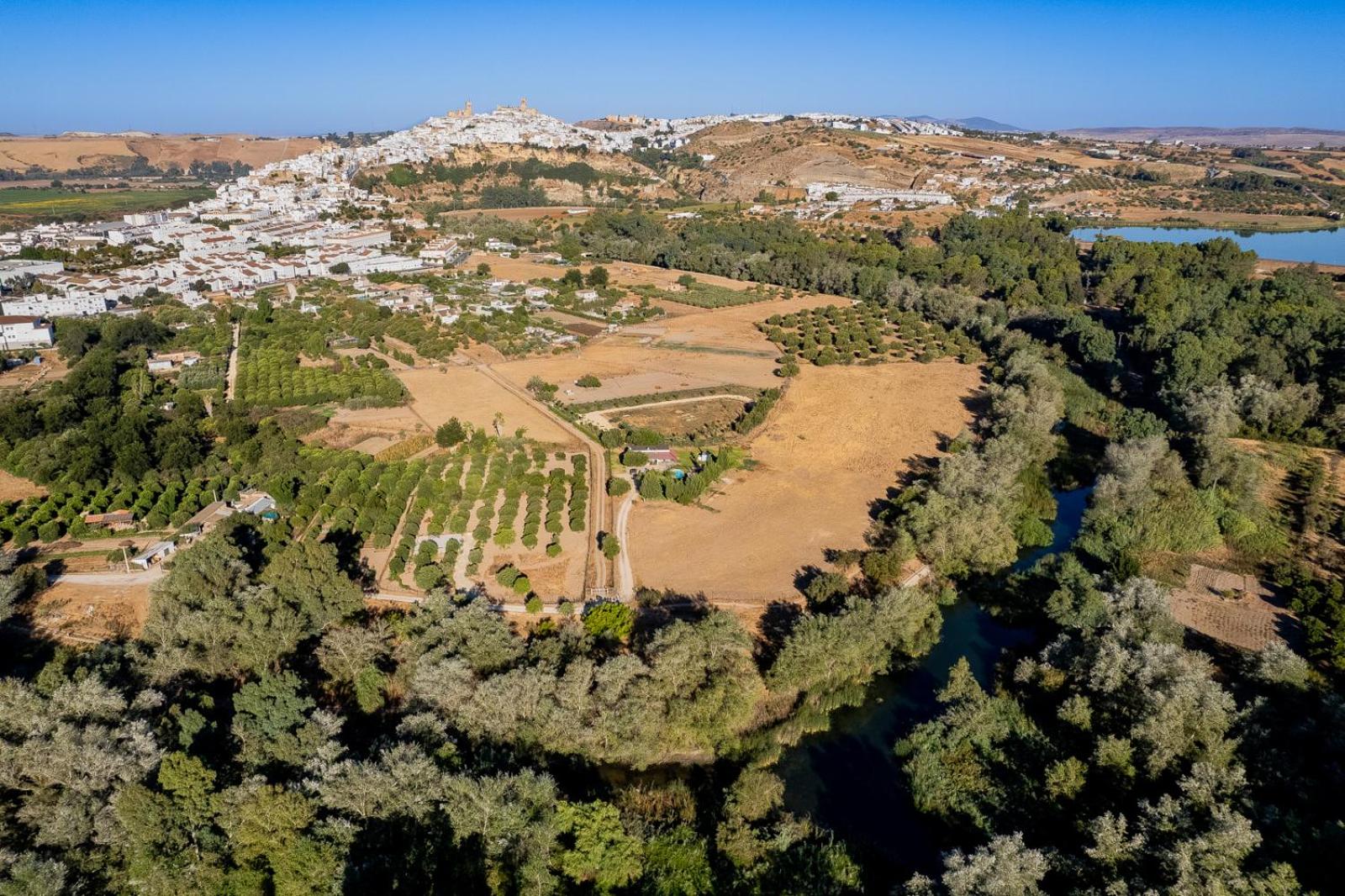 Huerta del prado