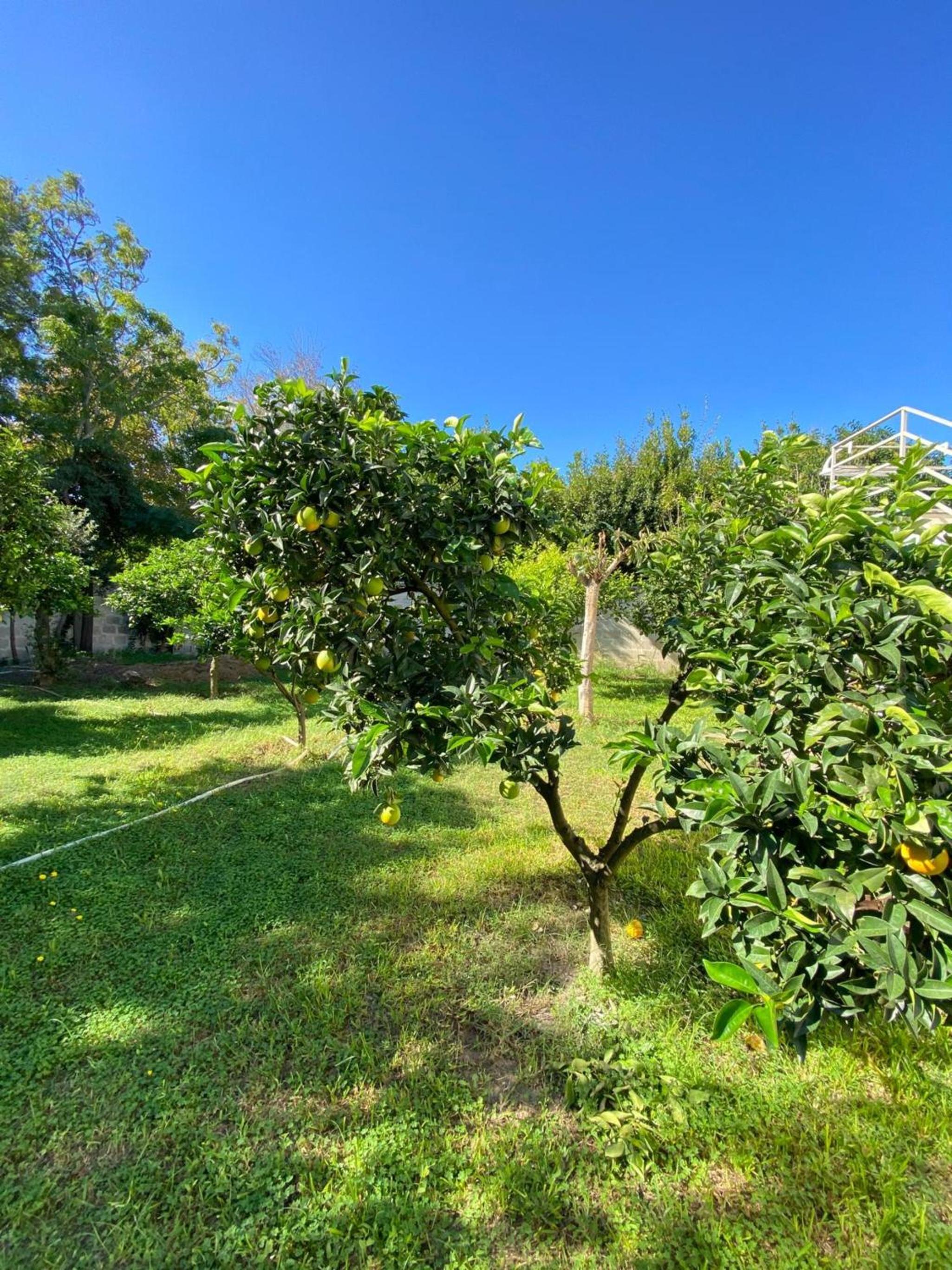 Villa Gaia