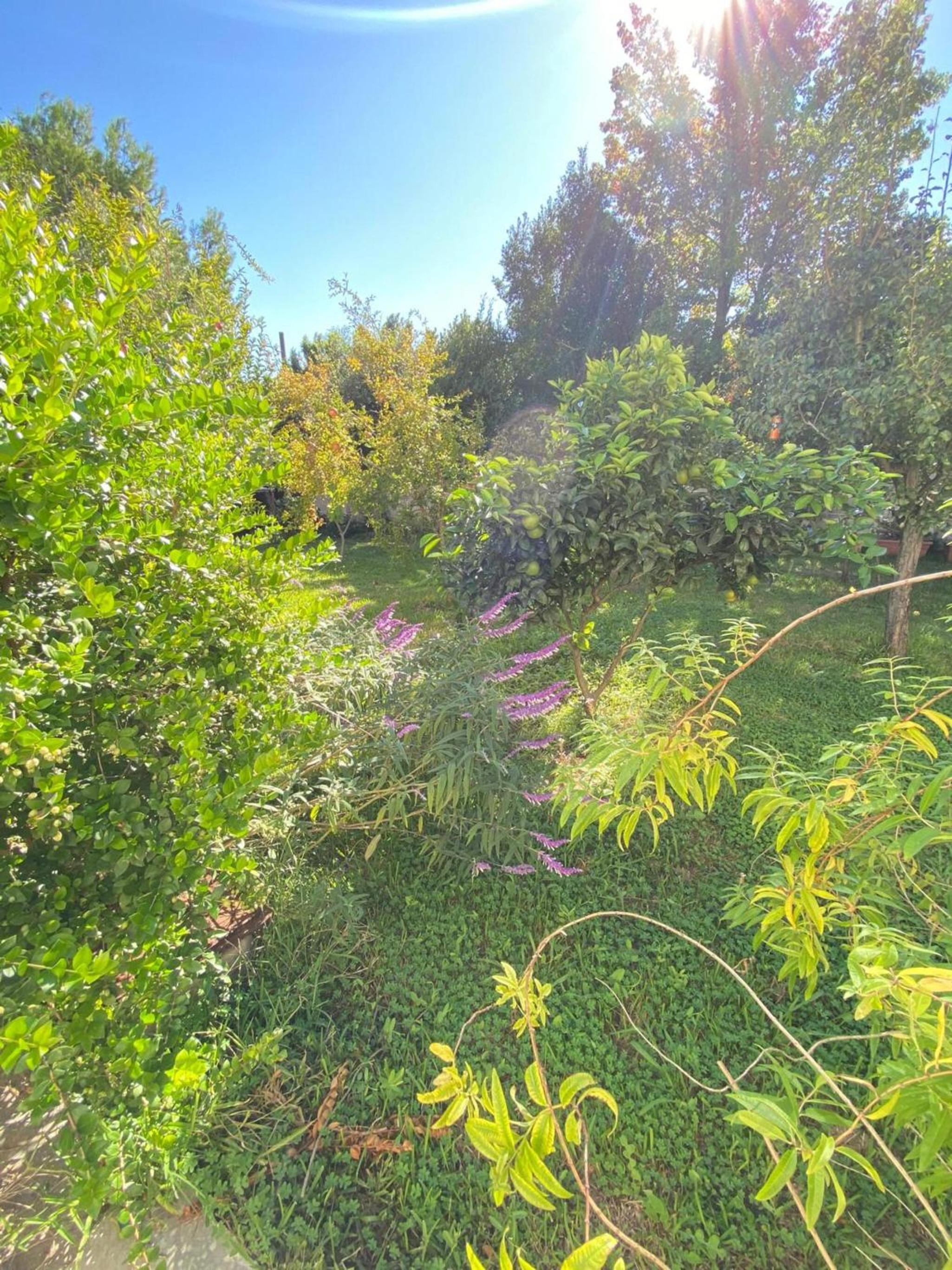 Villa Gaia