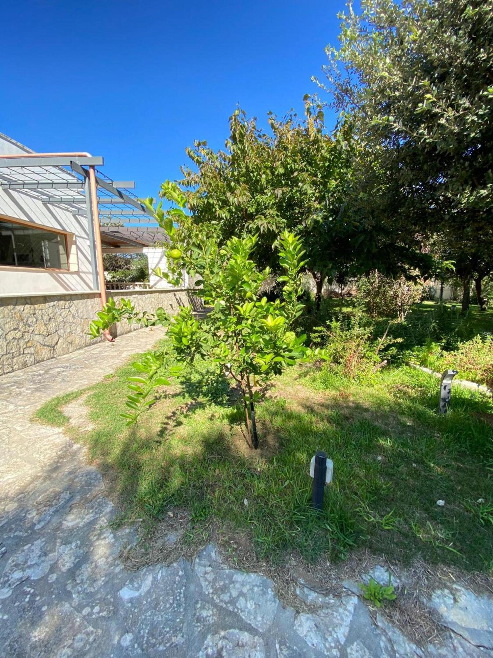 Villa Gaia