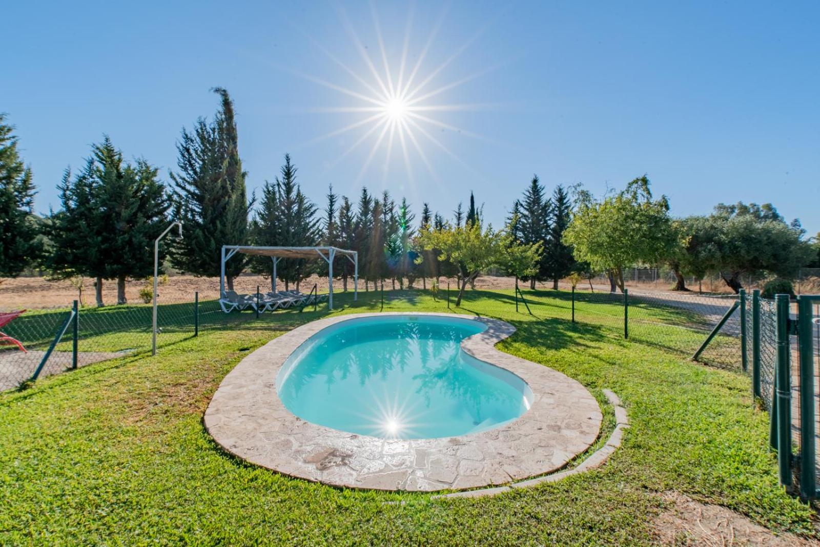 Huerta del prado