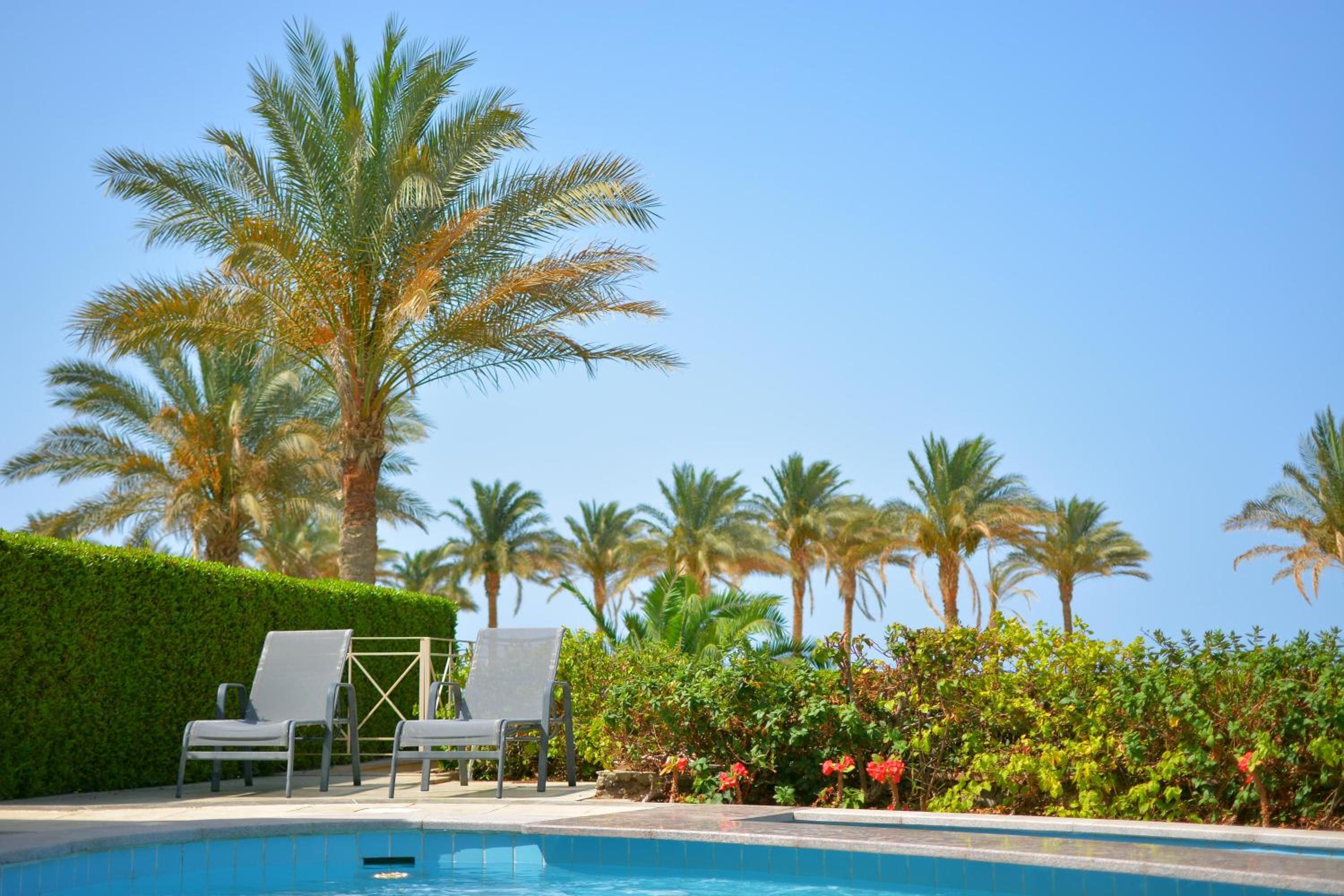 Sataya Resort Marsa Alam — photo 68
