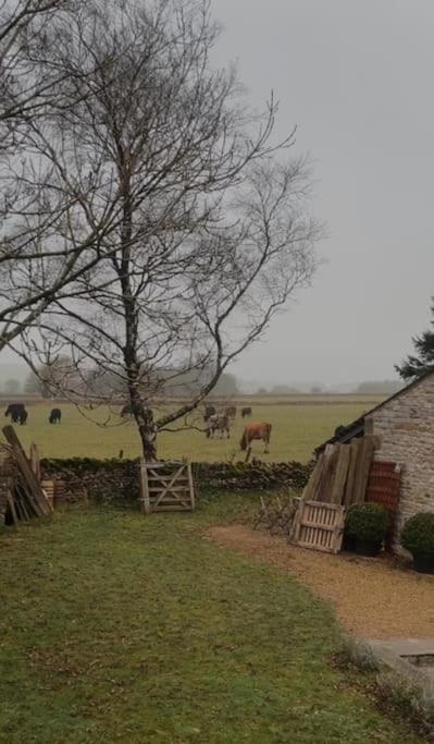 Primrose cottage