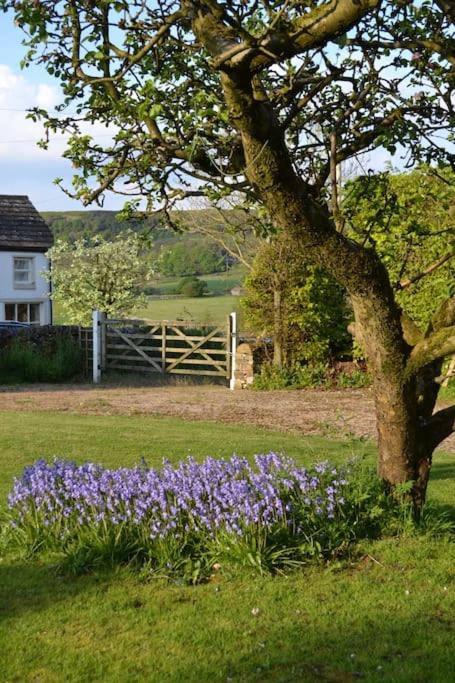 Primrose cottage