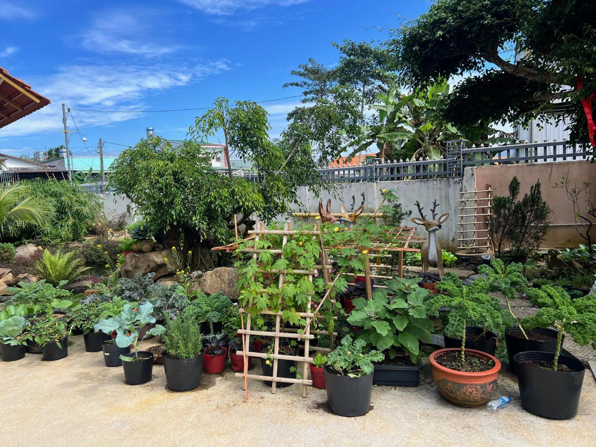 Homestay Bảo Lộc Ngọc Kim view 4