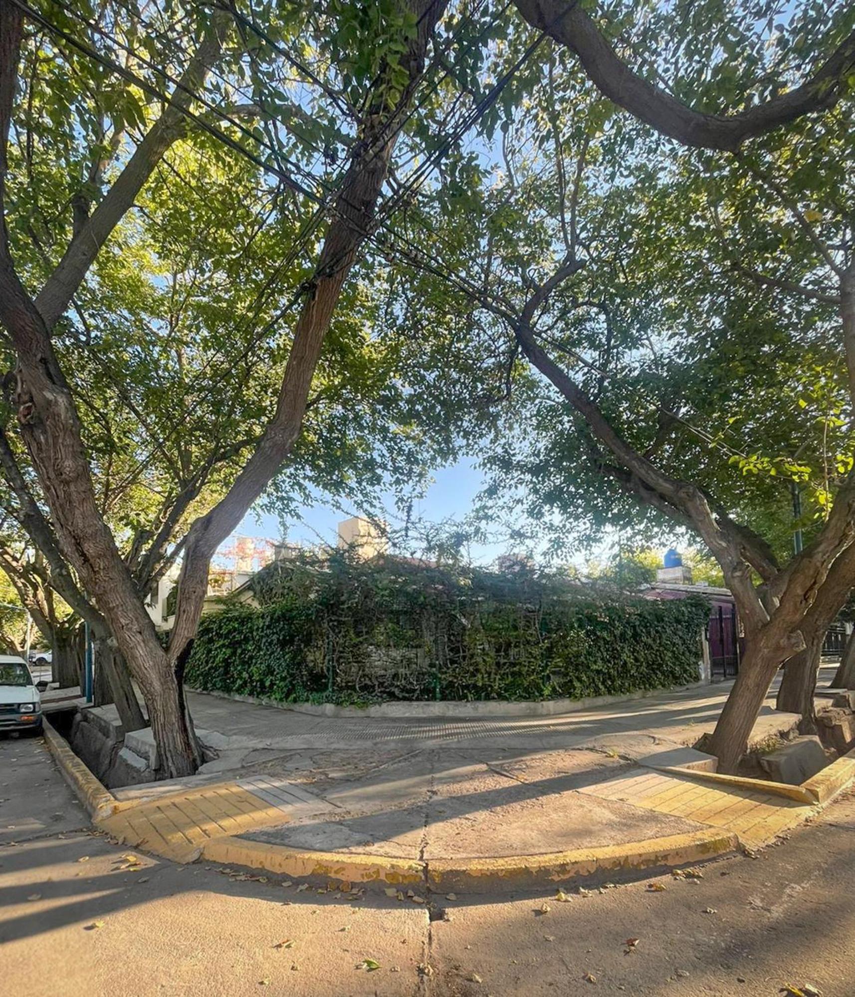 Casa amplia y luminosa con jardín, patio, terraza y parrilla
