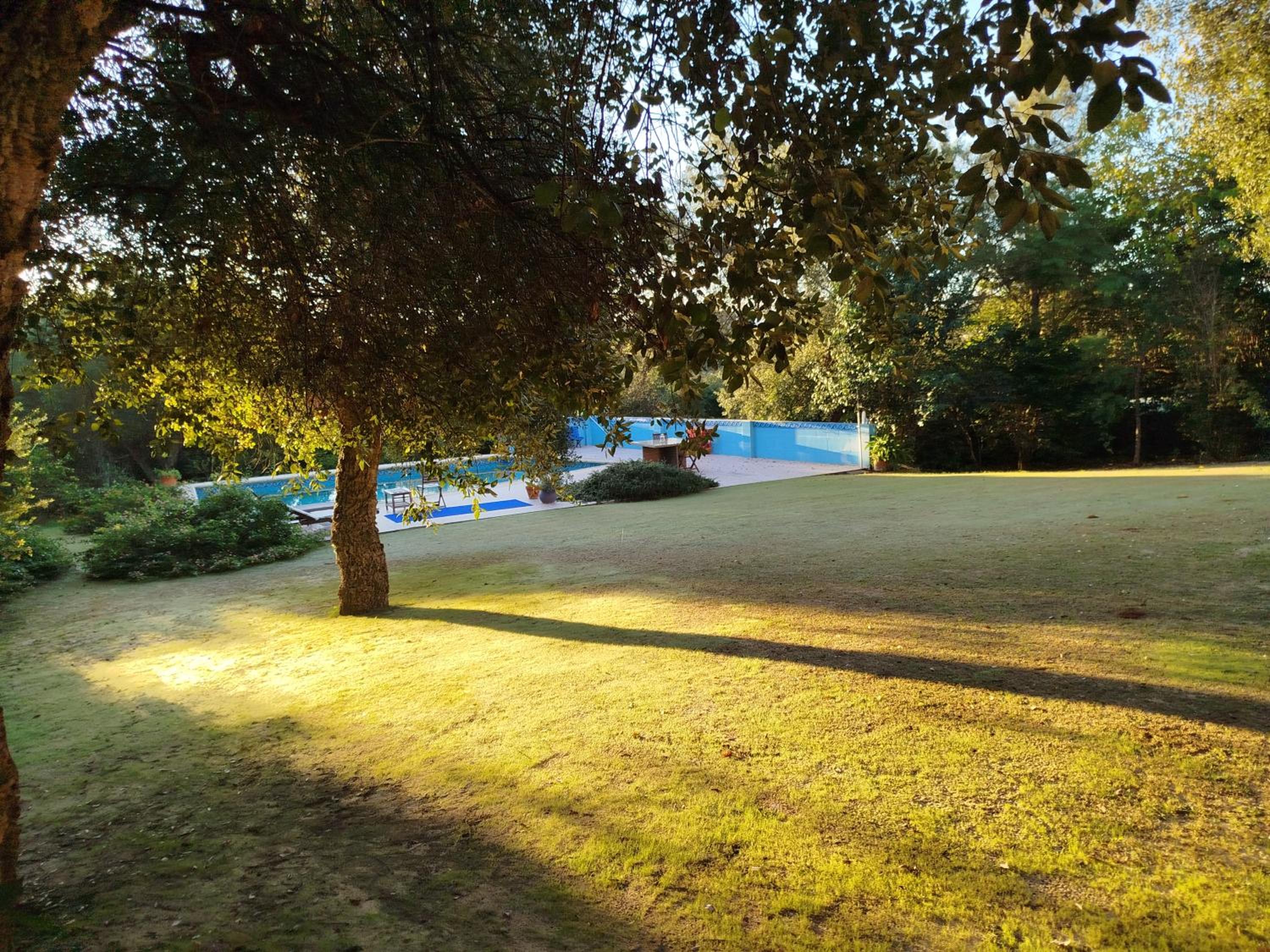 Sotogrande. Estancia privada en plena naturaleza photo 2