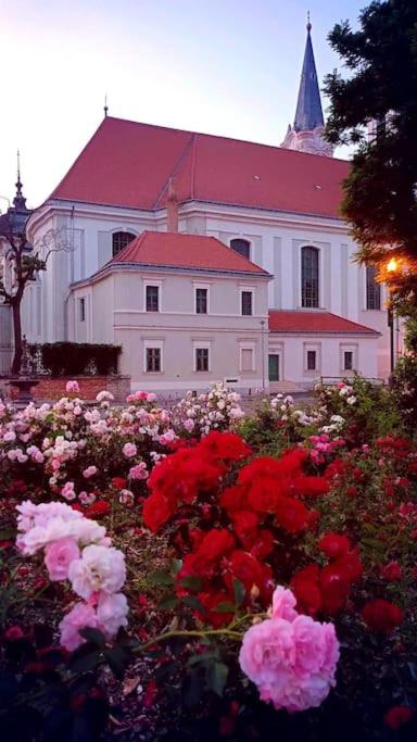 Széchenyi Apartman Széchenyi tér 13