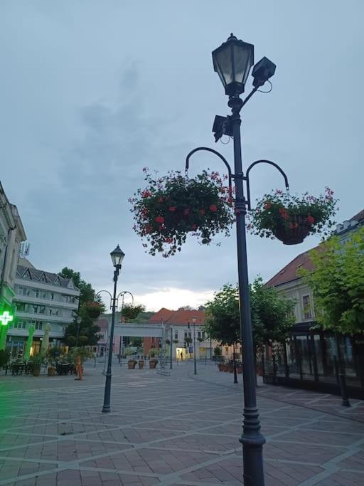 Széchenyi Apartman Széchenyi tér 13
