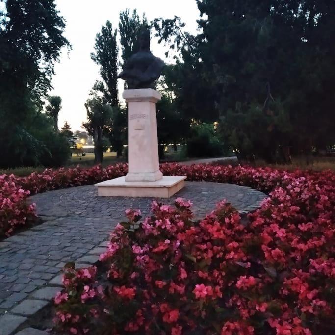 Széchenyi Apartman Széchenyi tér 13