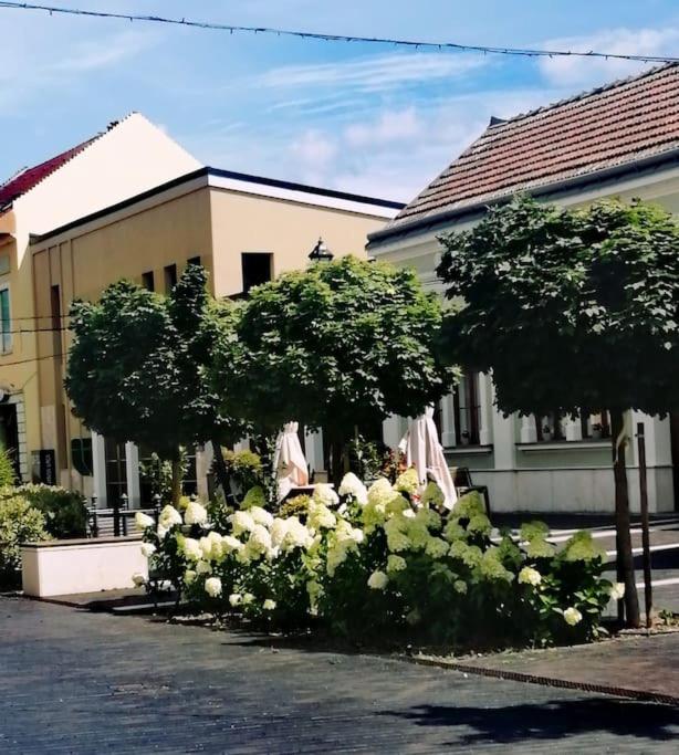 Széchenyi Apartman Széchenyi tér 13