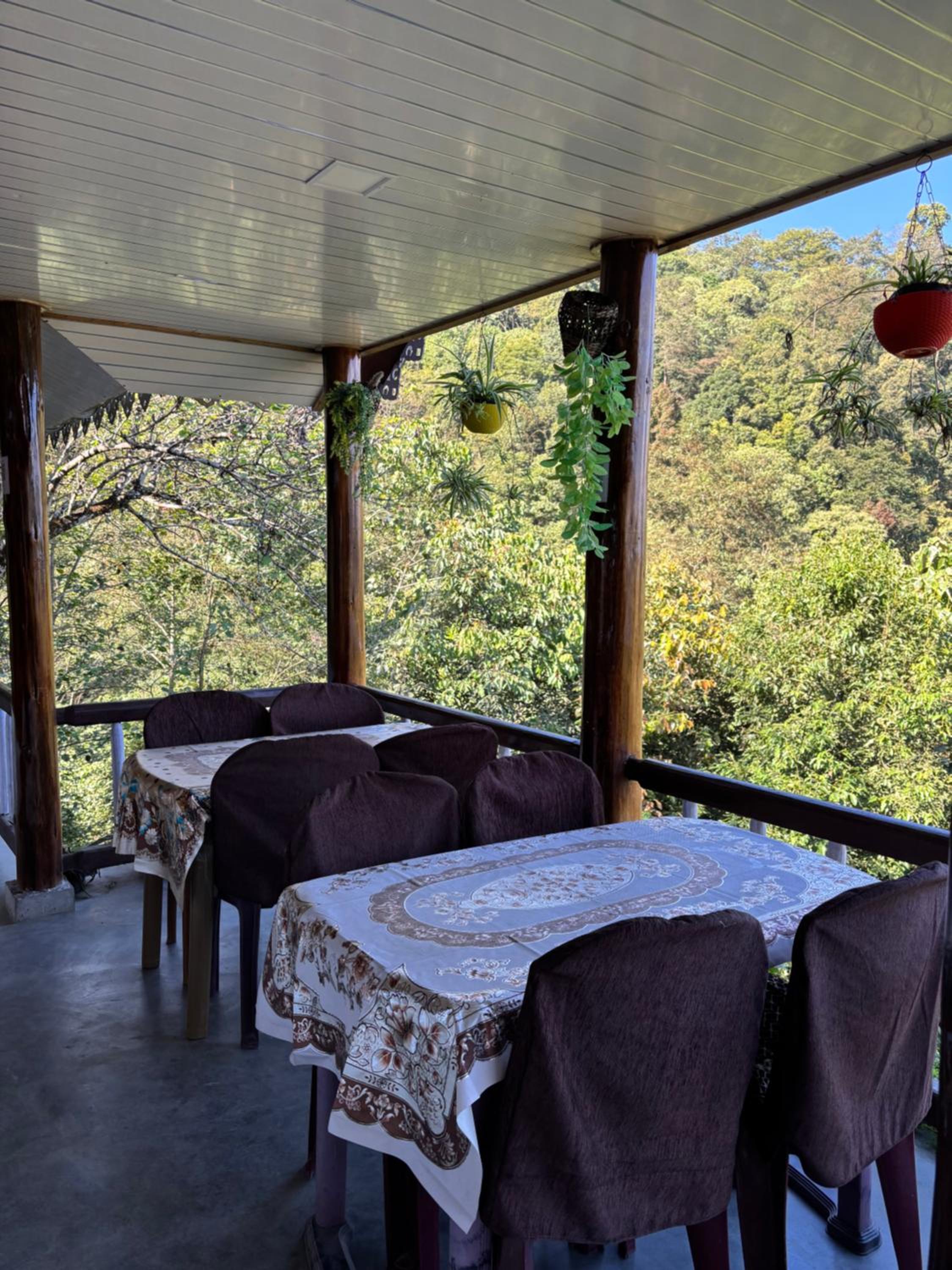 Hosanna homestay view 2