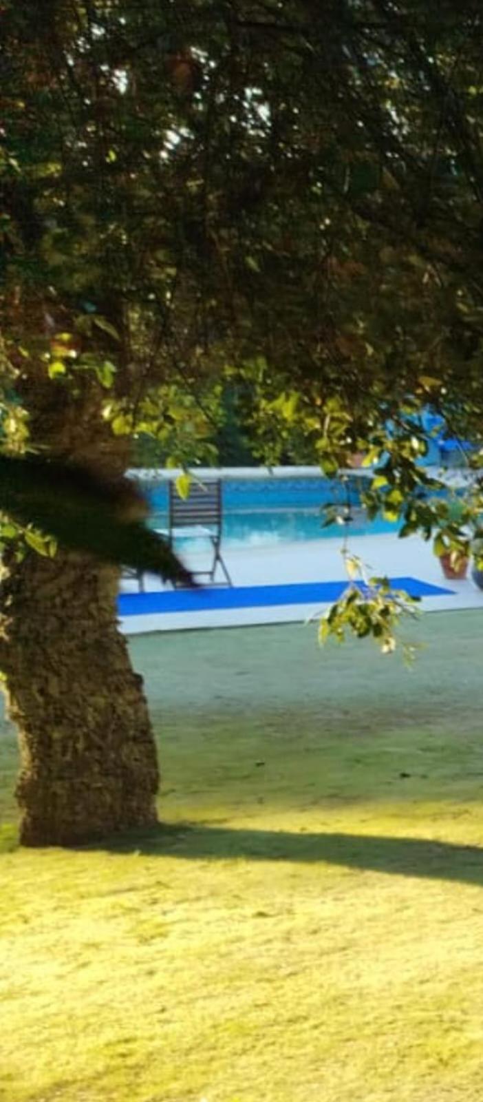 Sotogrande. Estancia privada en plena naturaleza photo 3