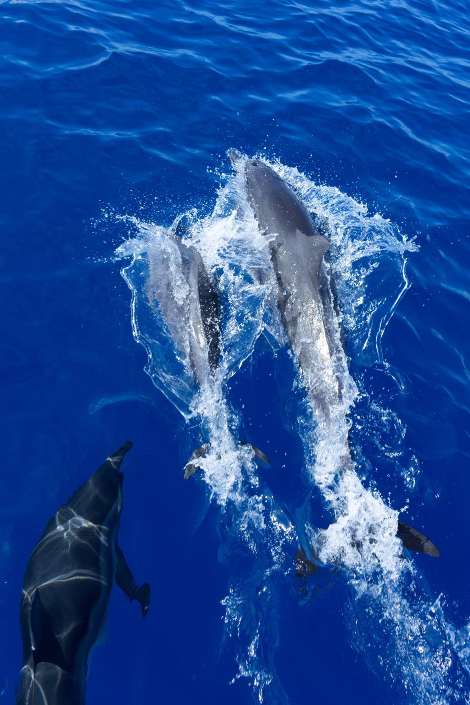 Equatorial Inn photo 4