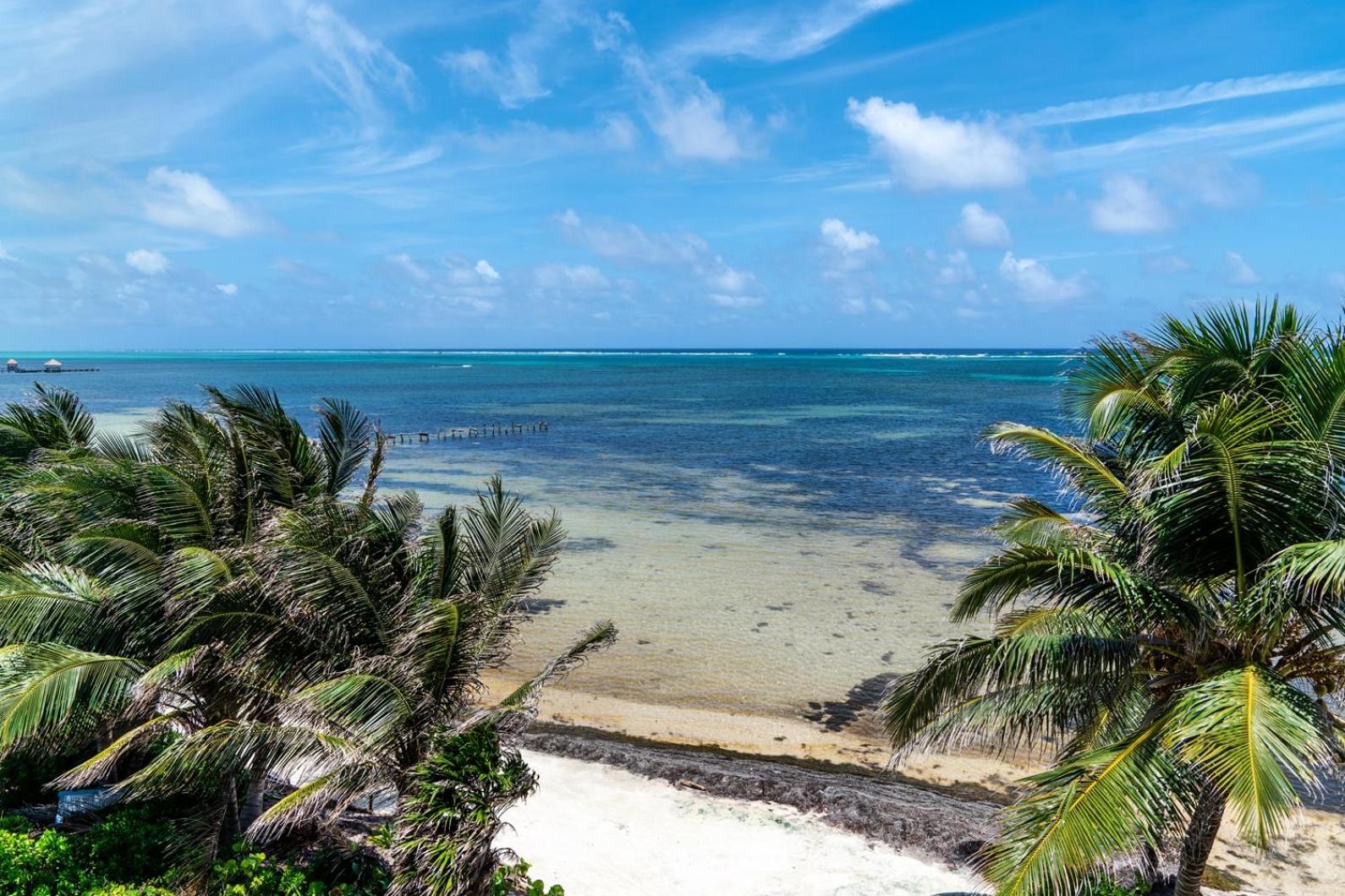Residences at Barrier Reef 1-3C Oceanfront 2 BR by Stay Floreo