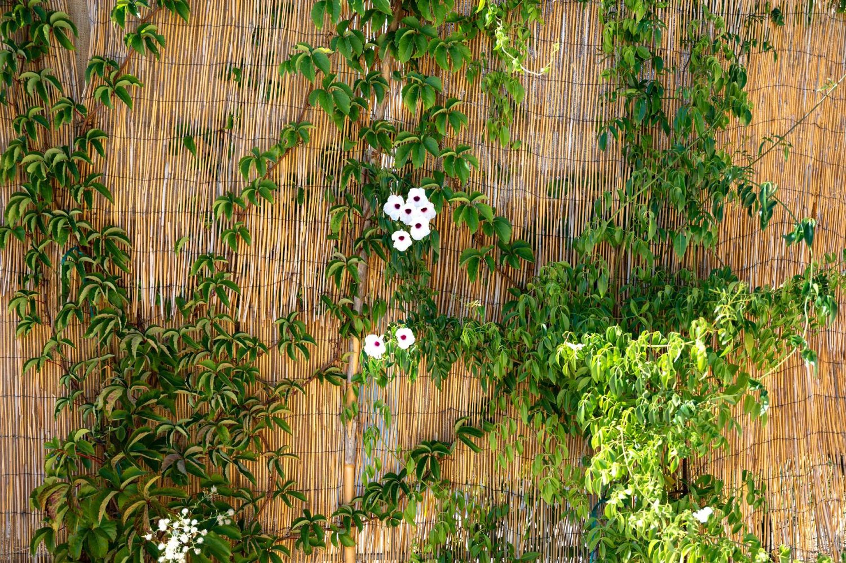 Villa Antreas Mentoros view 2