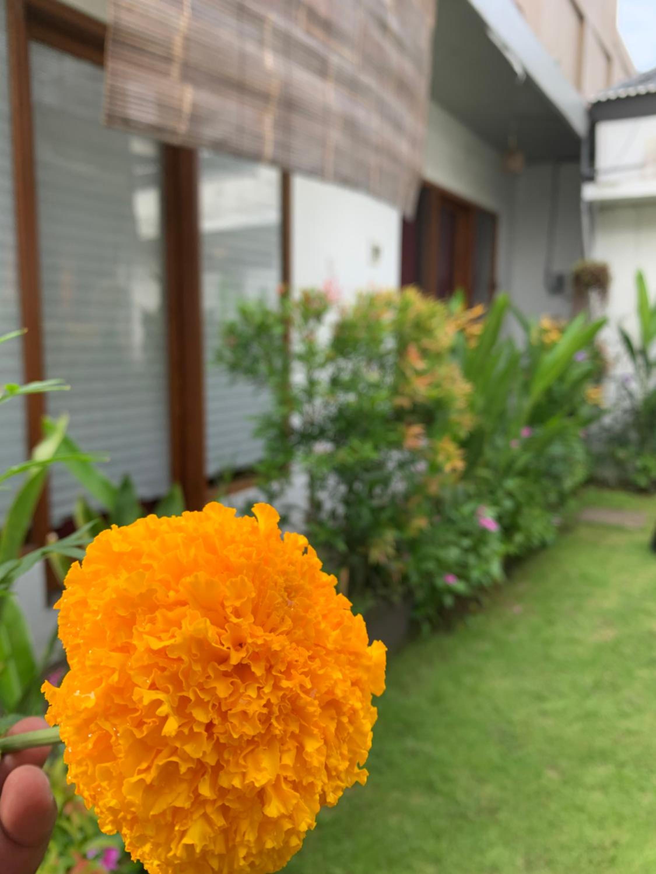JATAYU apartements