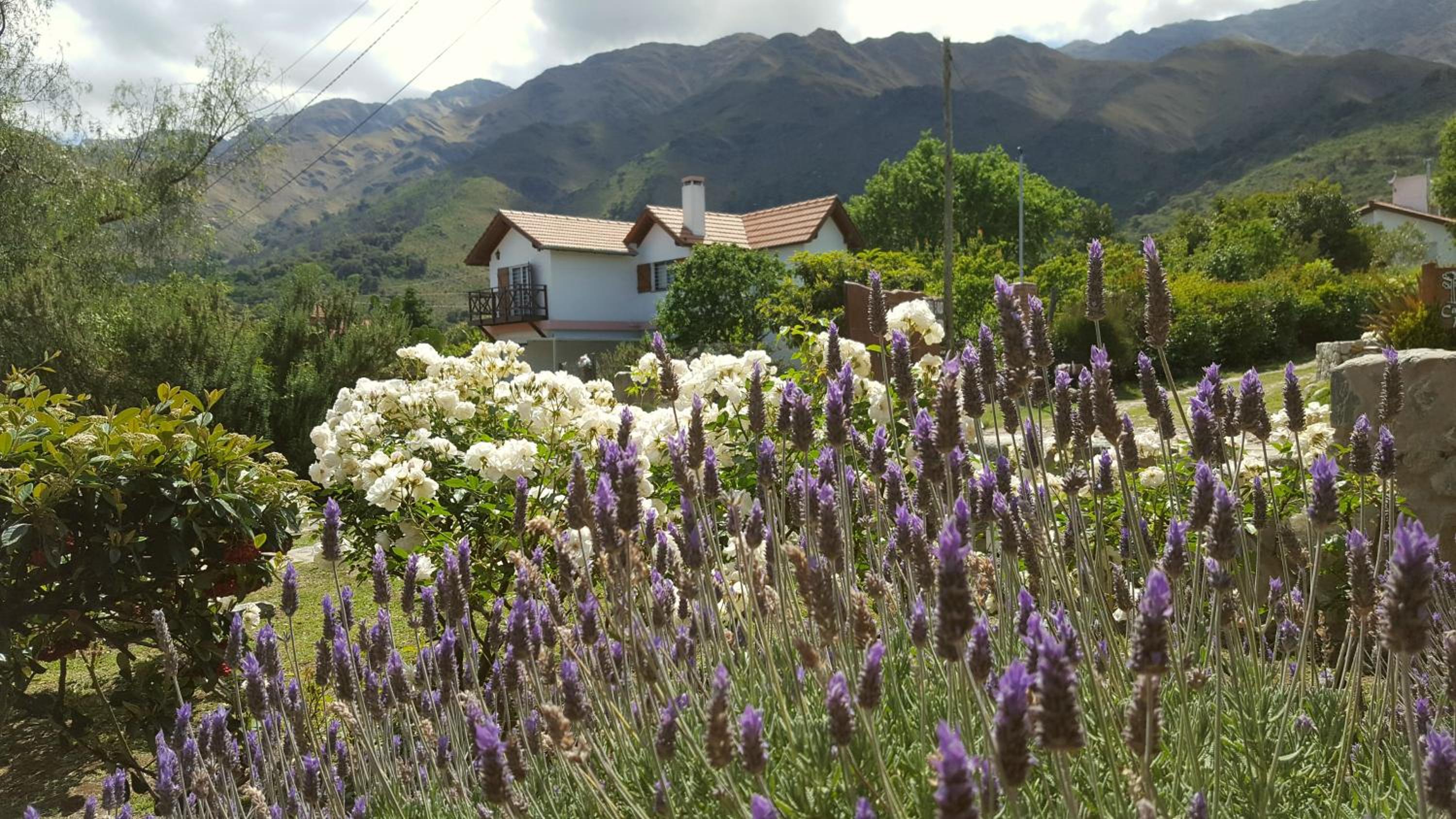 INCA HUASI - Cabañas de Altura