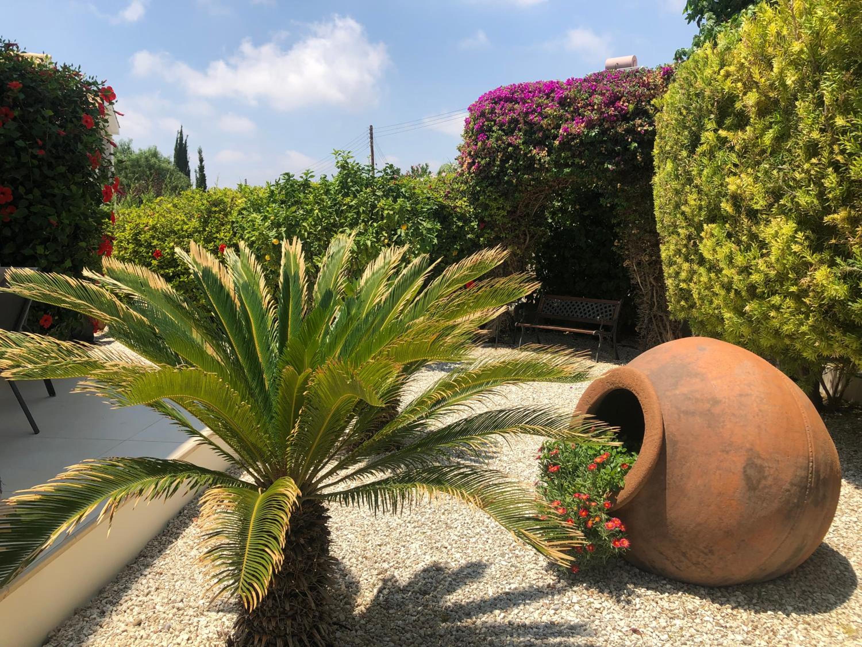 Villa Leon