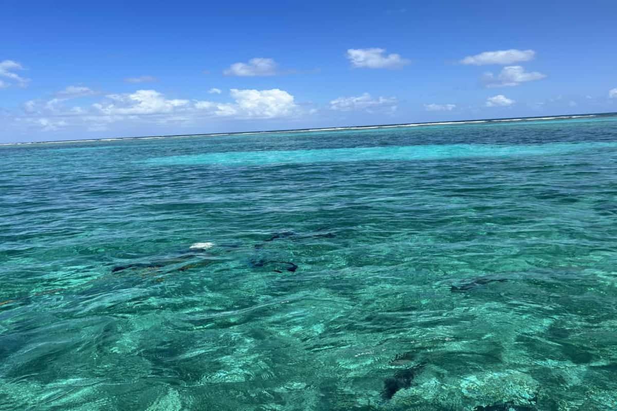 Residences at Barrier Reef 16A Garden View 1 BR by Stay Floreo
