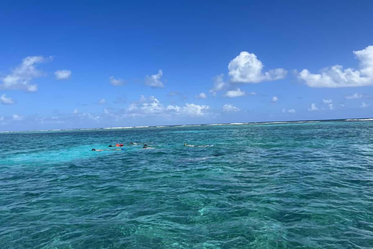 Residences at Barrier Reef 8C Oceanview 2 BR by Stay Floreo