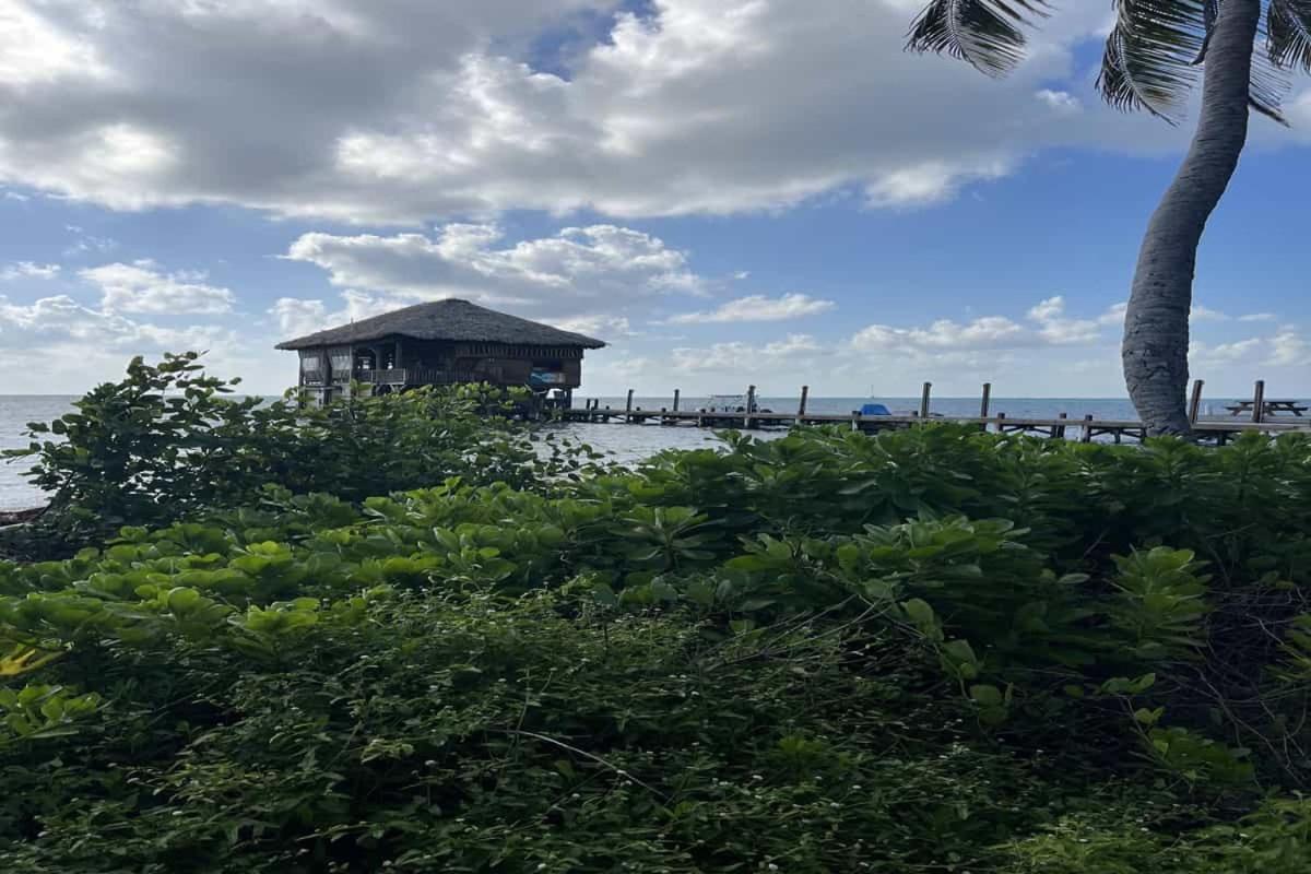 Residences at Barrier Reef 8C Oceanview 2 BR by Stay Floreo
