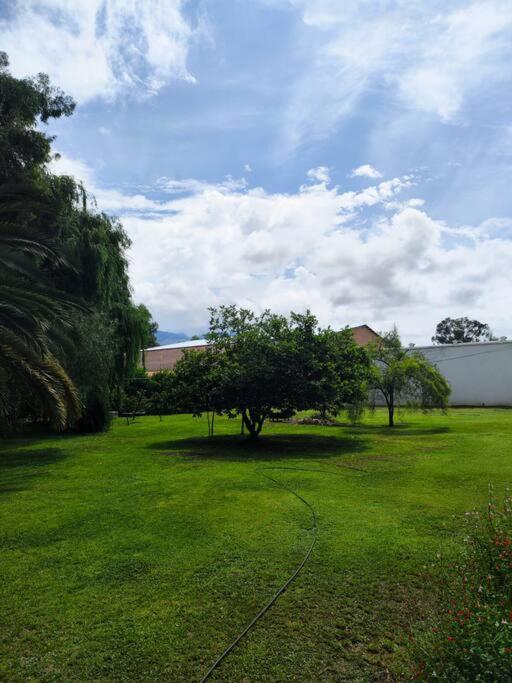 Casa Exclusiva Roble y Cristal