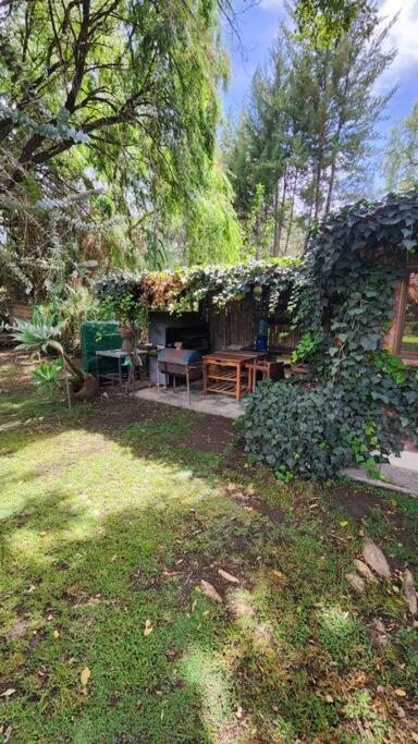 Casa Exclusiva Roble y Cristal