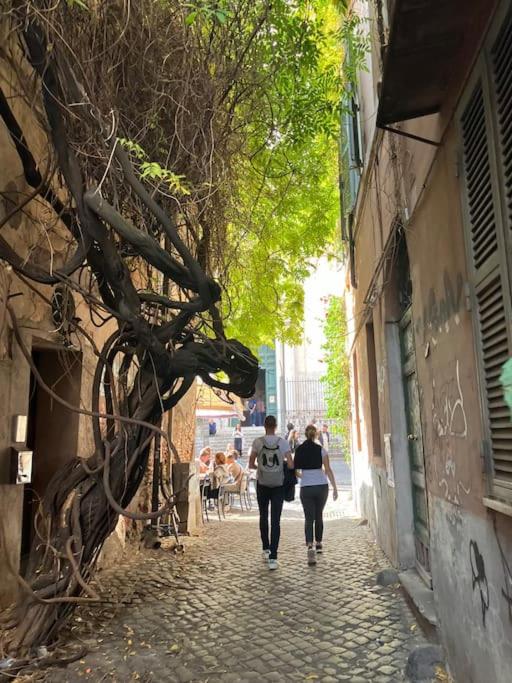 Amazing Terrace in Trastevere