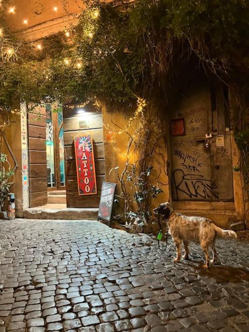 Amazing Terrace in Trastevere