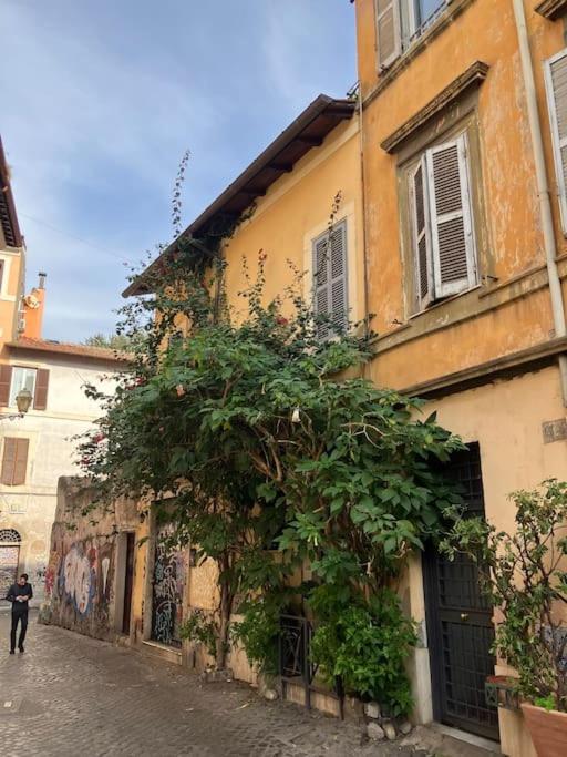 Amazing Terrace in Trastevere