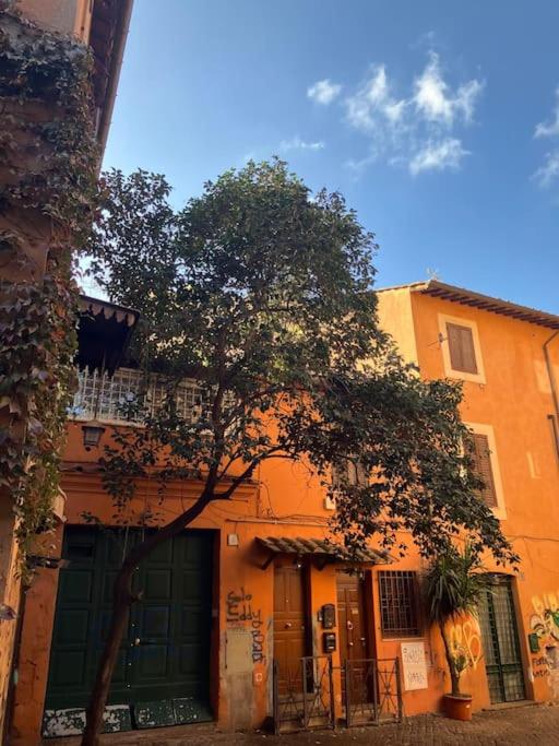 Amazing Terrace in Trastevere