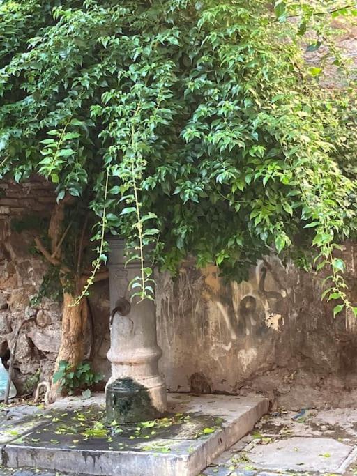 Amazing Terrace in Trastevere