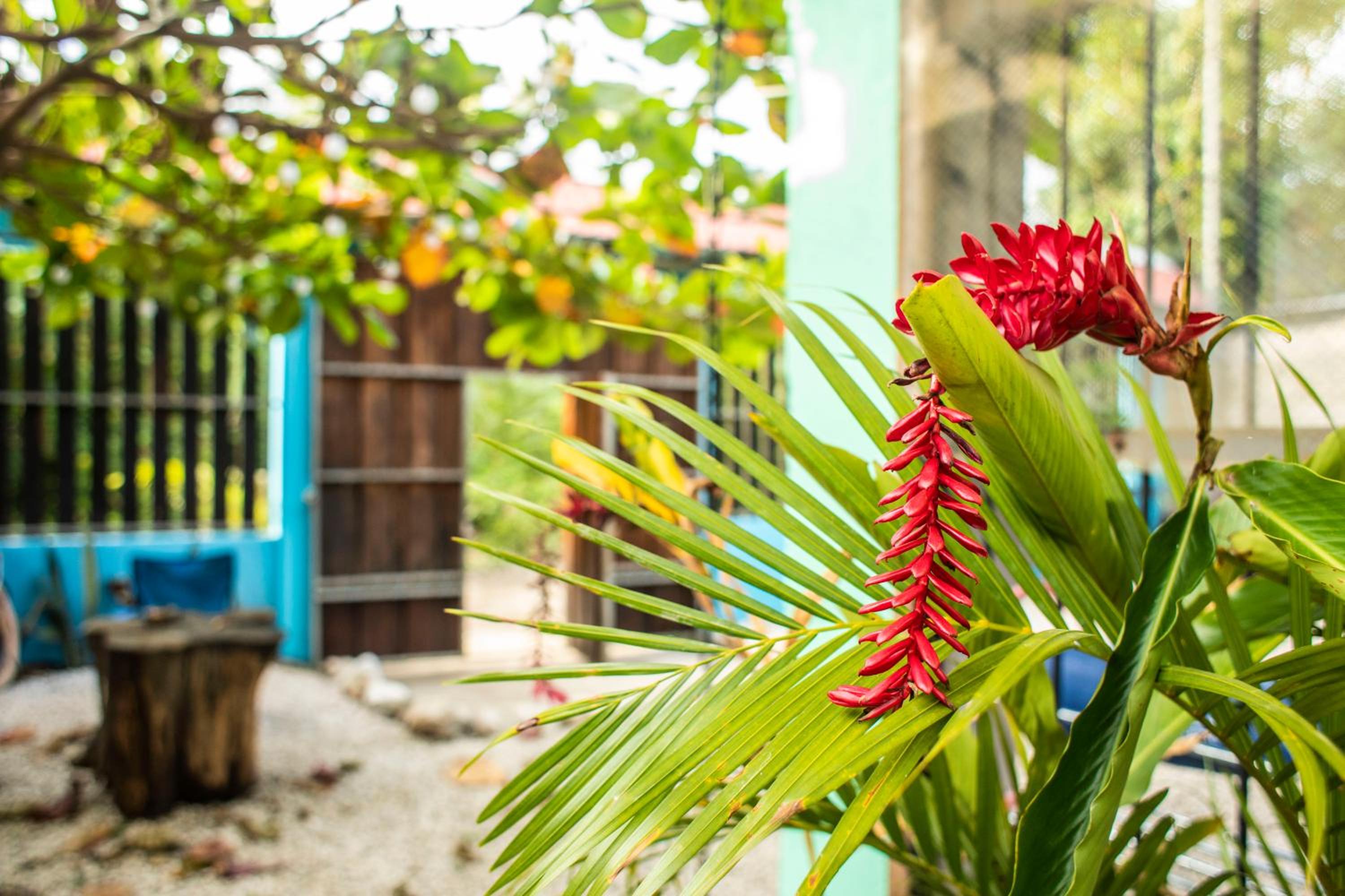 Argdivan Beach Hostel