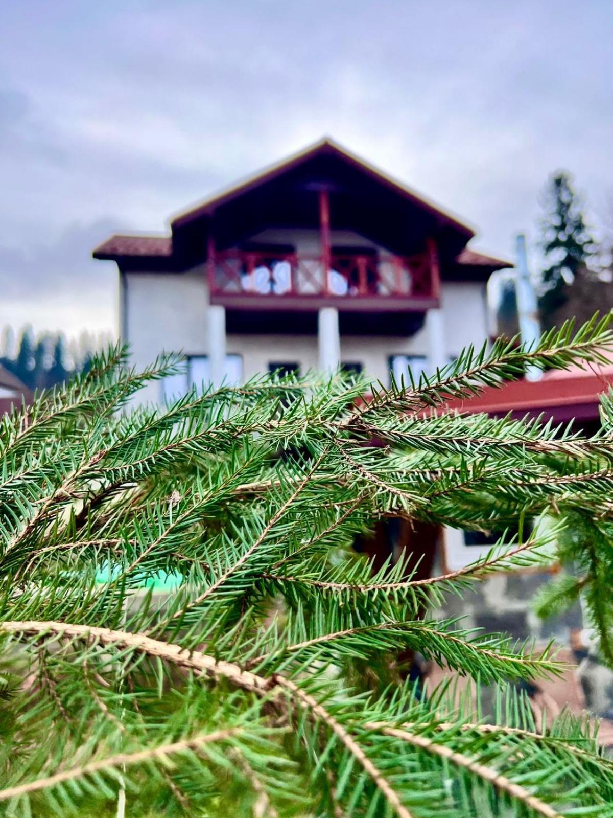Котедж Villagoria