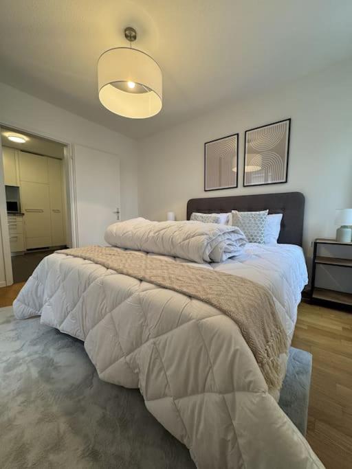 Cosy flat close drive to mount Pilatus