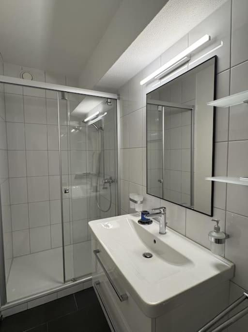 Cosy flat close drive to mount Pilatus