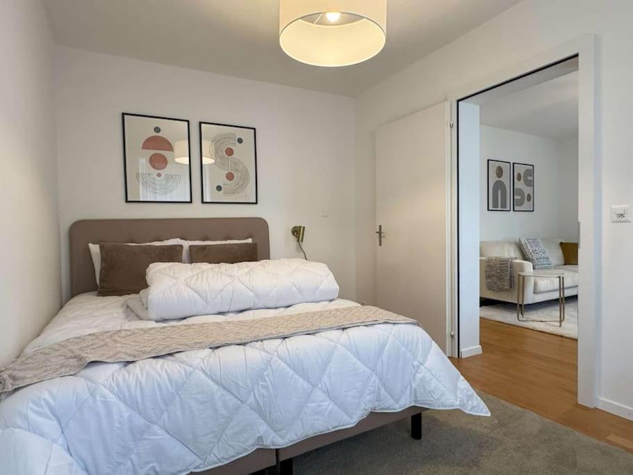 Cosy flat close drive to mount Pilatus