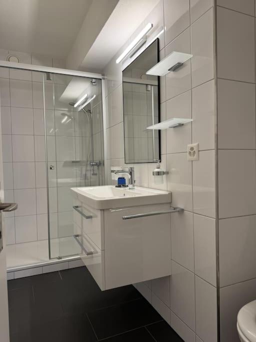 Cosy flat close drive to mount Pilatus