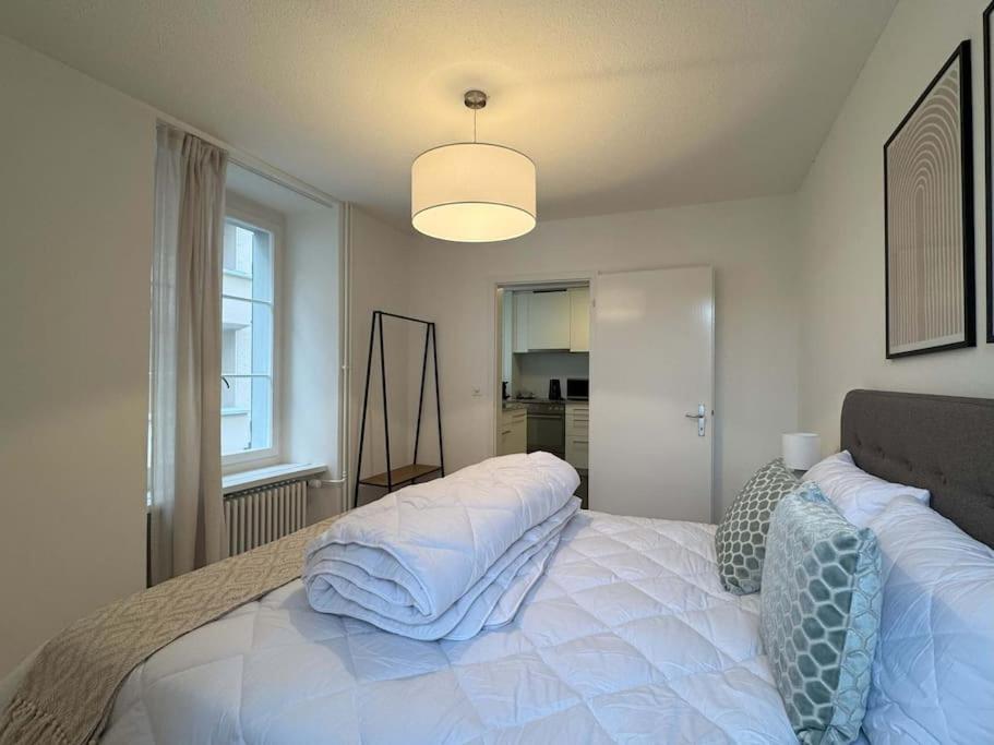 Cosy flat close drive to mount Pilatus