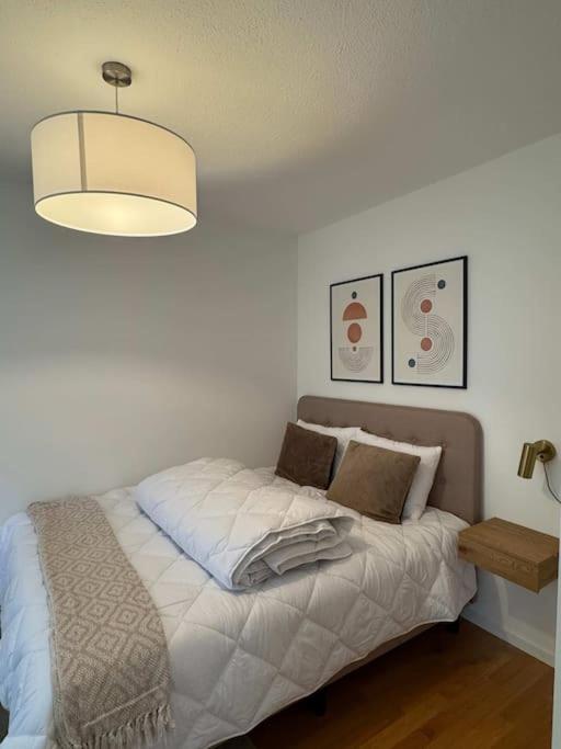 Cosy flat close drive to mount Pilatus