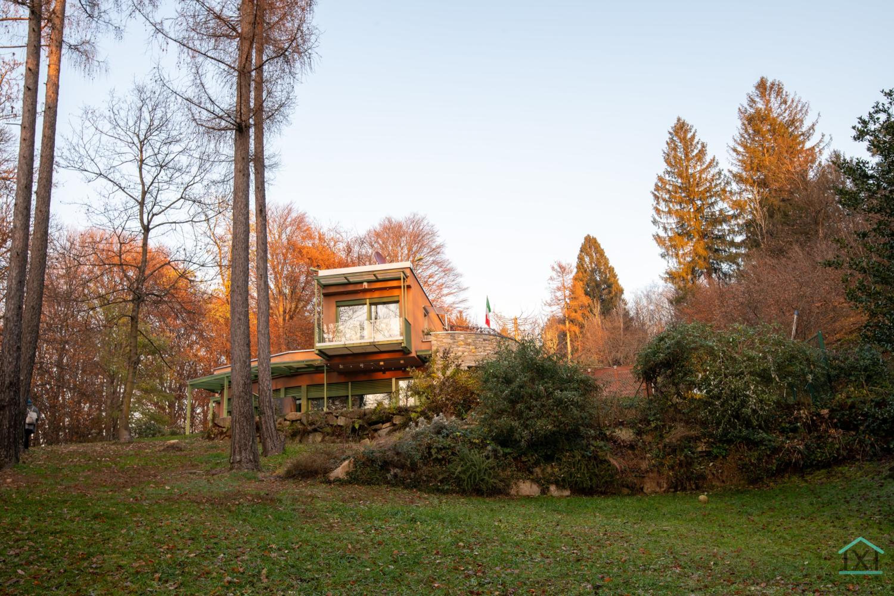 Green forest - Ixihome